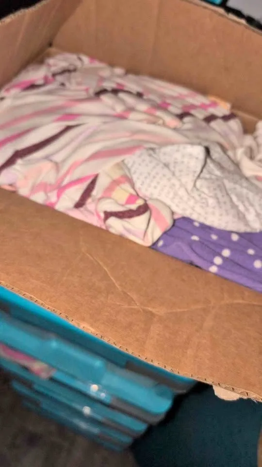 Box of baby girl clothes (0-6m)