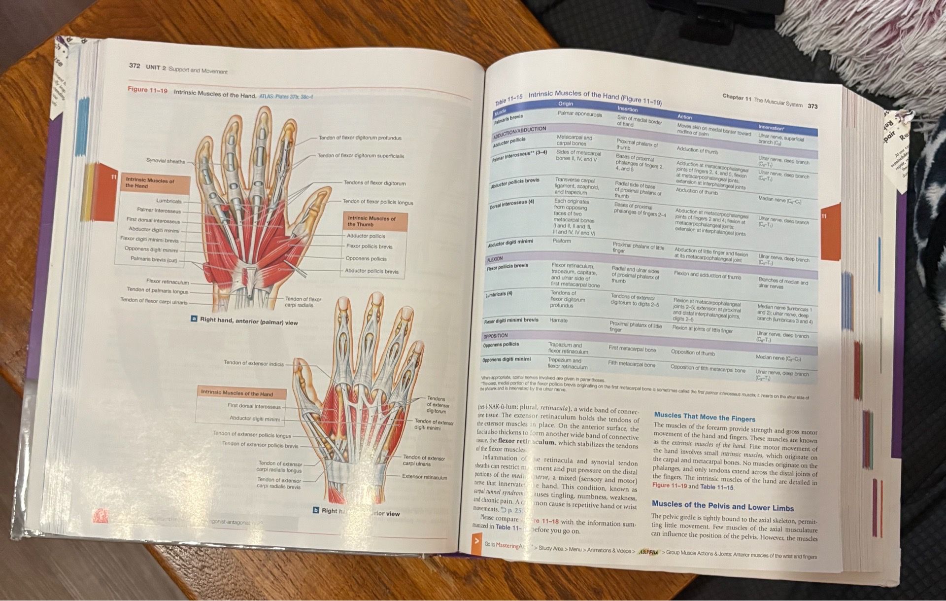 Fundamentals of Anatomy & Physiology 11th Edition textbook - photo 3