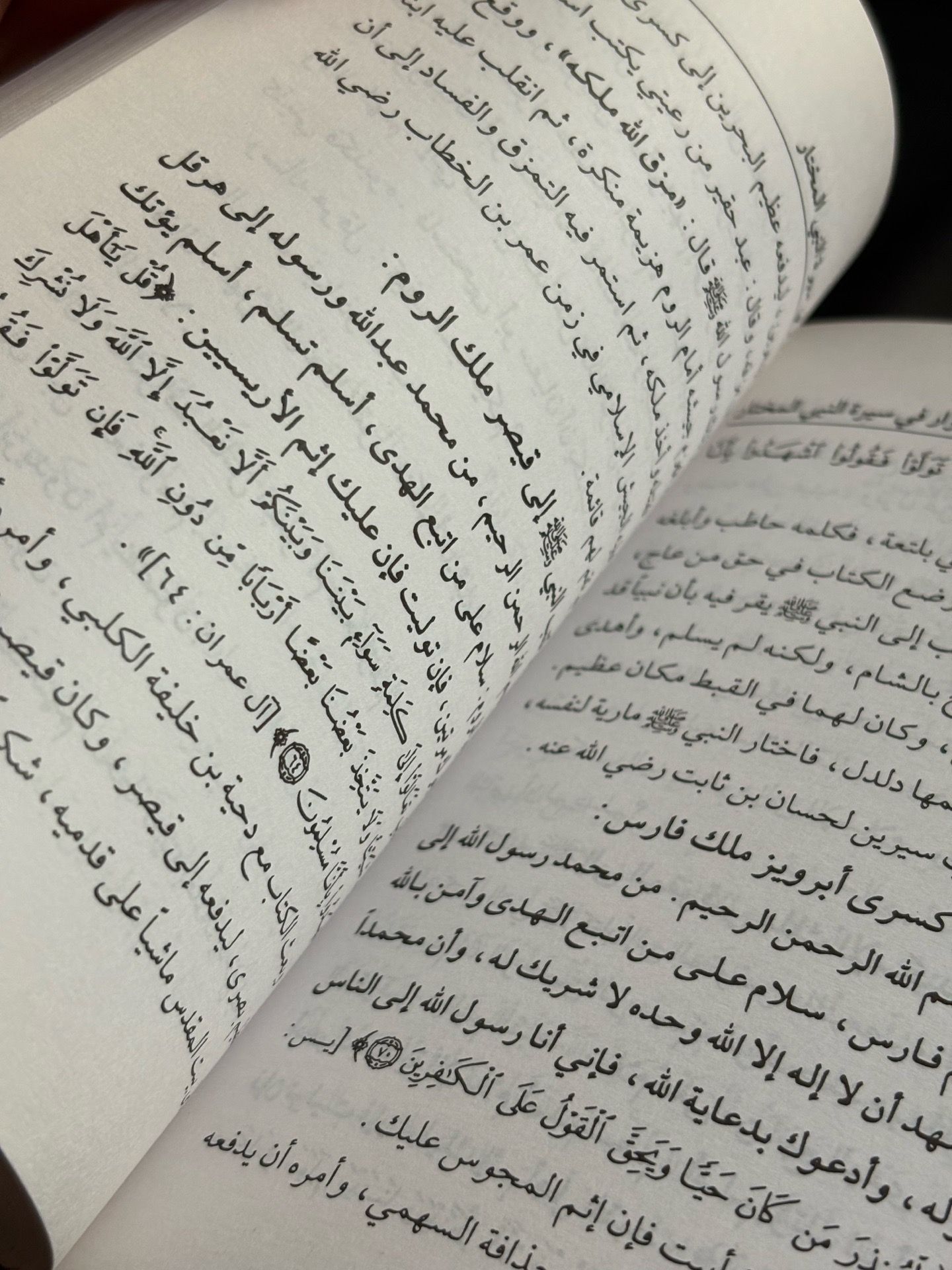 The Garden of Lights in the Biography of the Chosen Prophet - photo 5