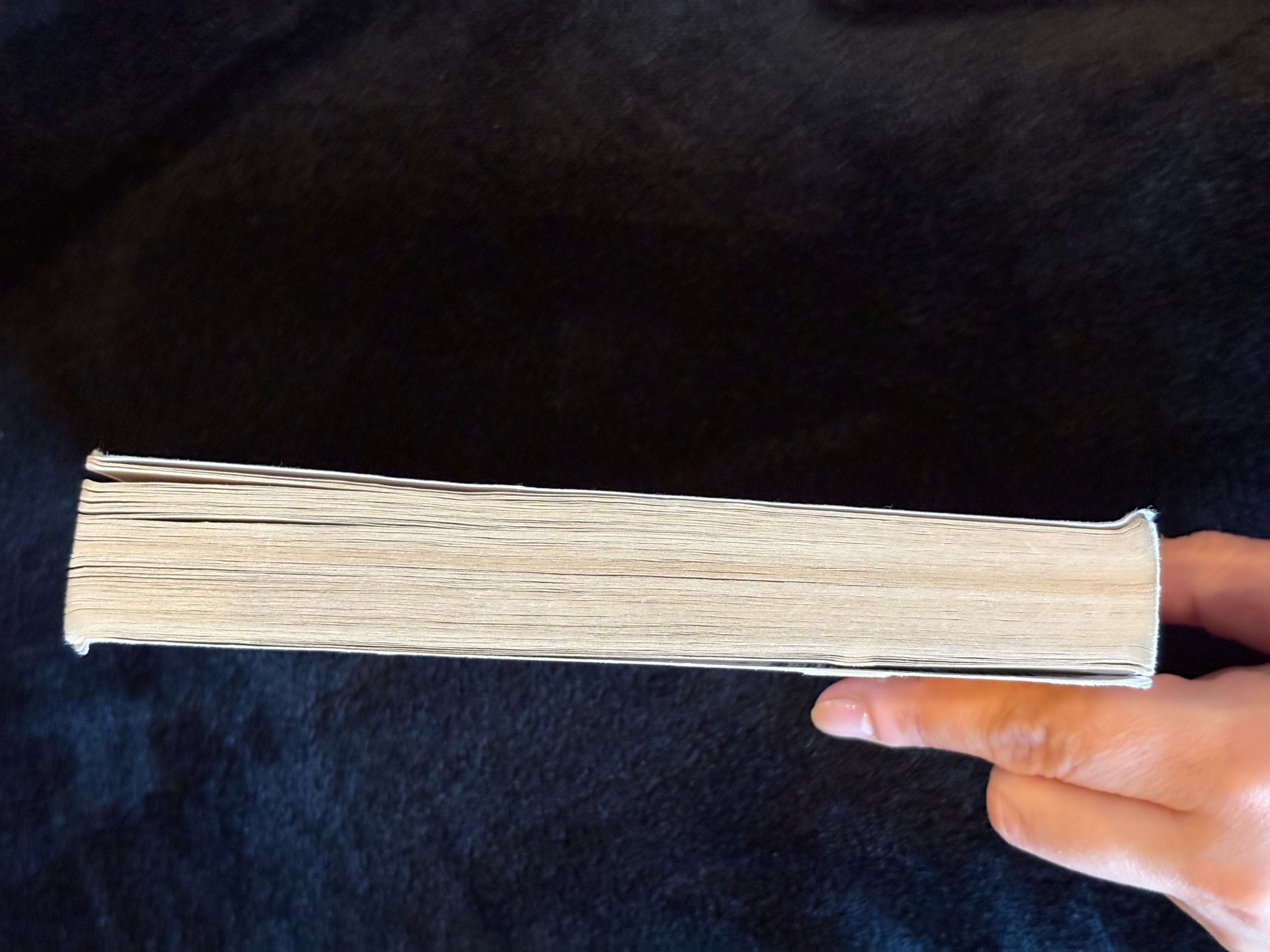 Bud, Not Buddy Paperback Book - photo 3