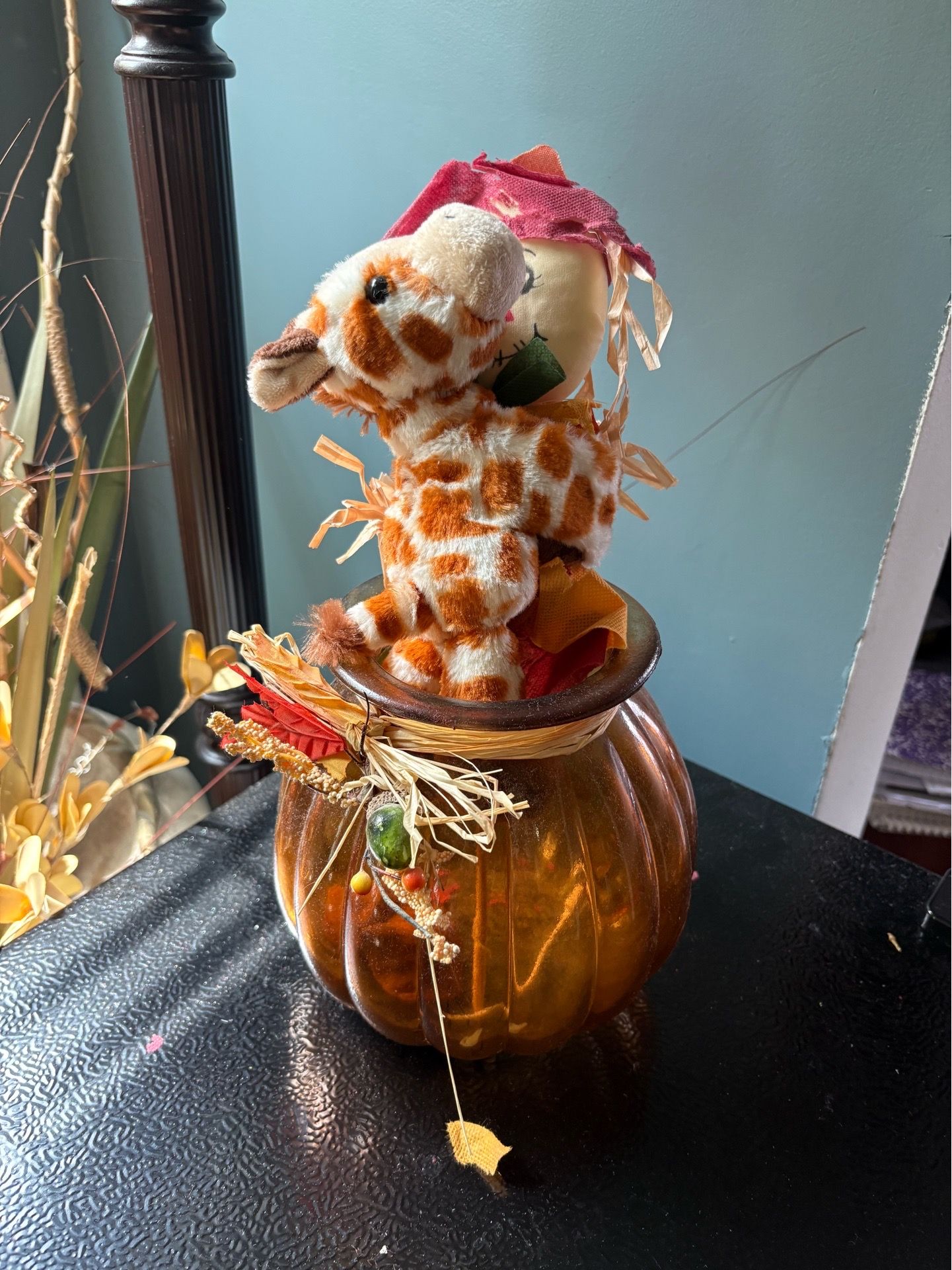 Giraffe in pumpkin