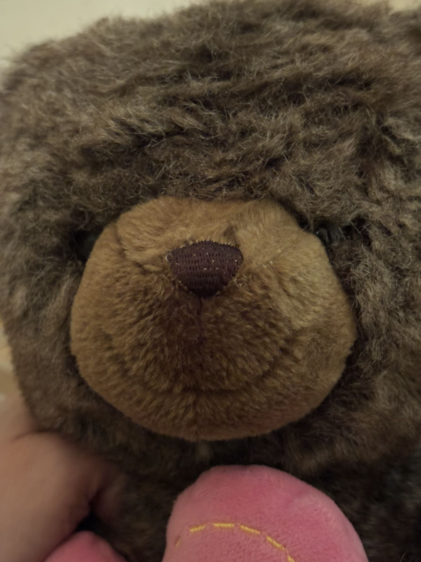 Teddy Bear - photo 4