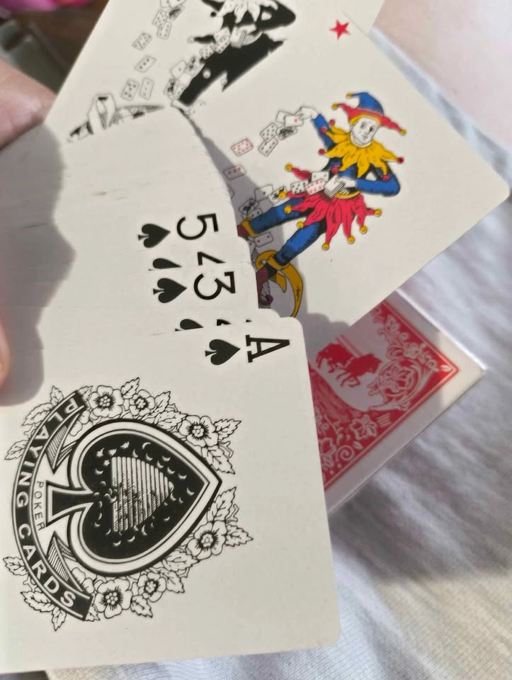 Cart Classics No. 988 Playing Cards - photo 3