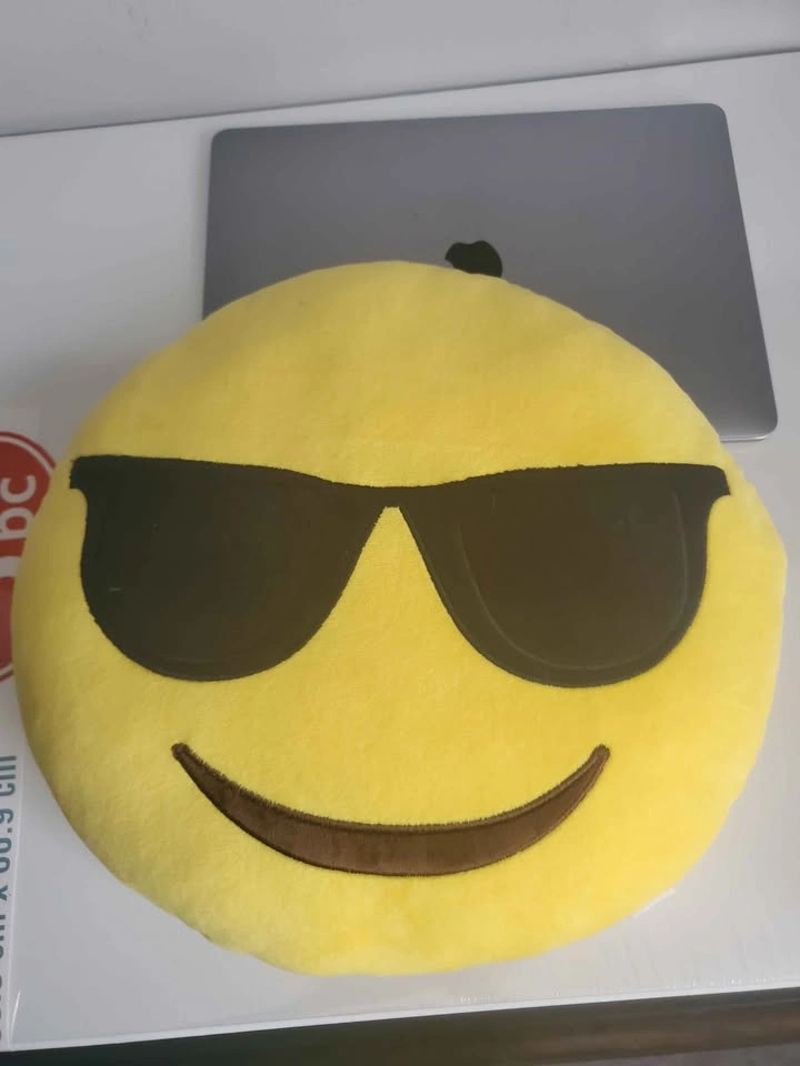 Niagara Falls Canada Emoji Plush Pillow (12.5") - photo 4