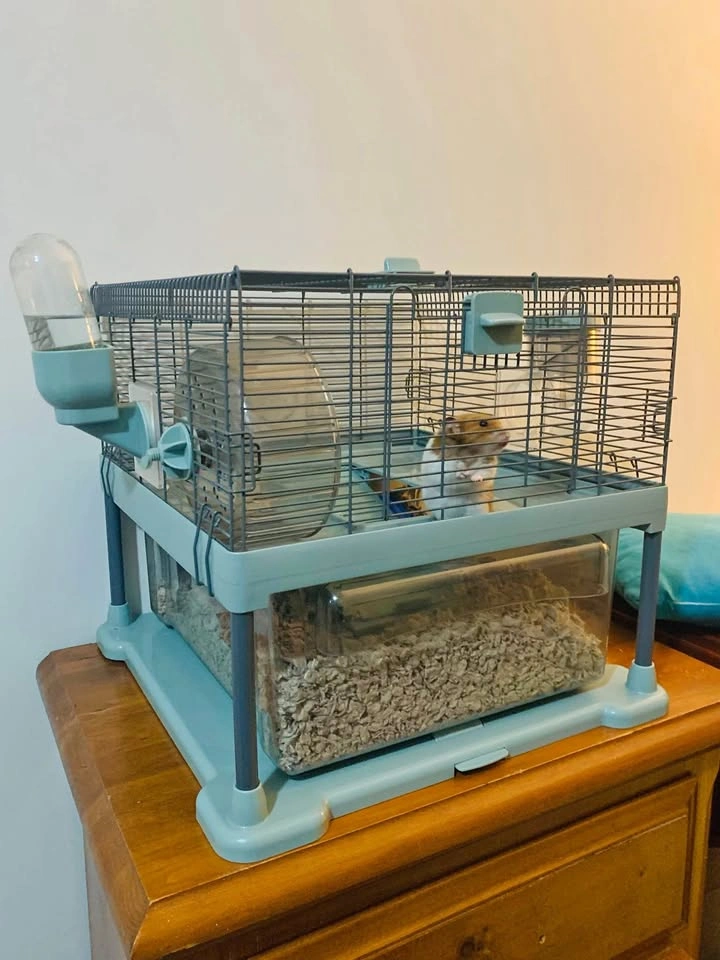 Hamster Cage- Full Cheeks!