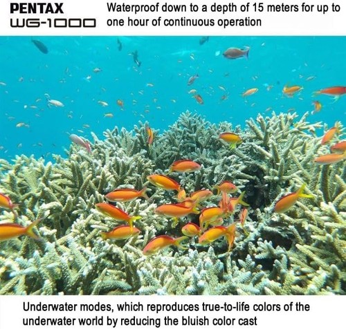 Pentax WG-1000 Gray Waterproof Digital Compact Camera (New In Bo - photo 3