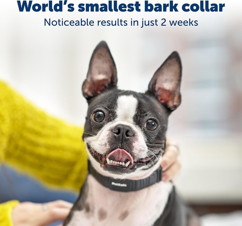 PetSafe NanoBark Collar - Bark Collar for Small/Medium Dogs - photo 3
