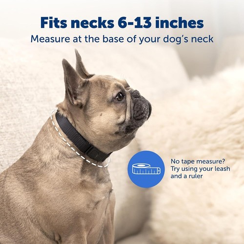 PetSafe NanoBark Collar - Bark Collar for Small/Medium Dogs - photo 5