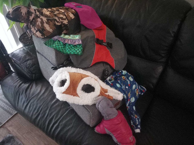 Dog Clothing Assortment 10-20$