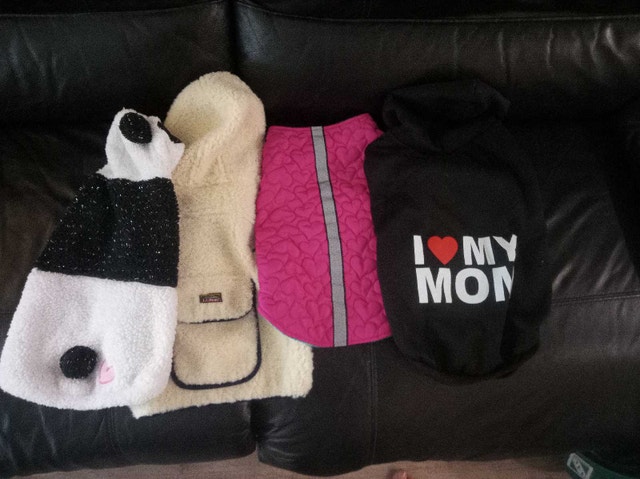 14 inch Dog Clothing Assortment 20-35$ - photo 3