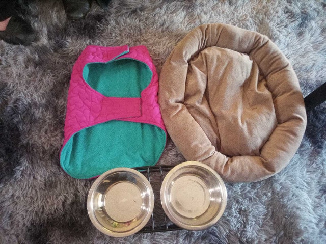 Dog Supplies Bundle