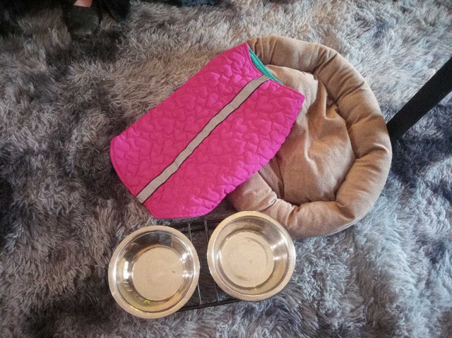 Dog Supplies Bundle - photo 2