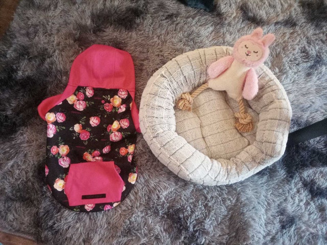 Pet Hoodie and Bed Set