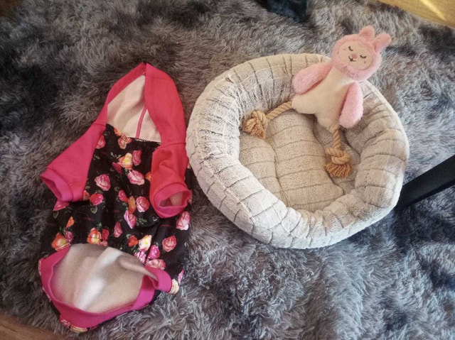Pet Hoodie and Bed Set - photo 2