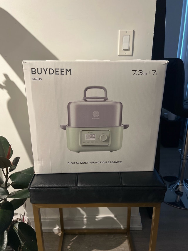 Buydeem Digital Multi-Function Steamer G67US