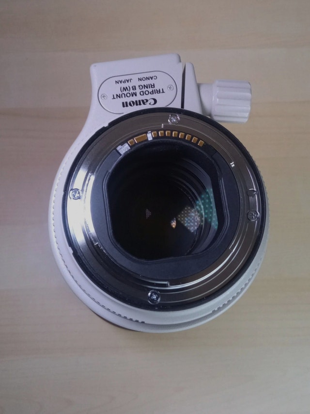 Canon EF 70-200mm f2.8 L IS II USM - photo 5