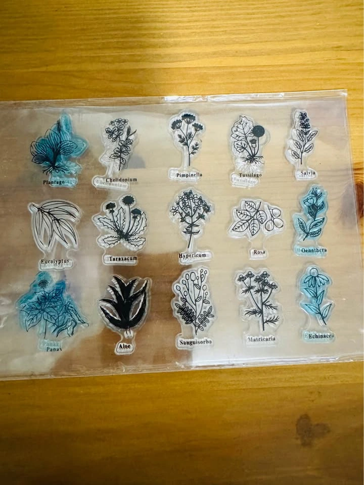 Clear Stamp for Scrapbook - photo 4