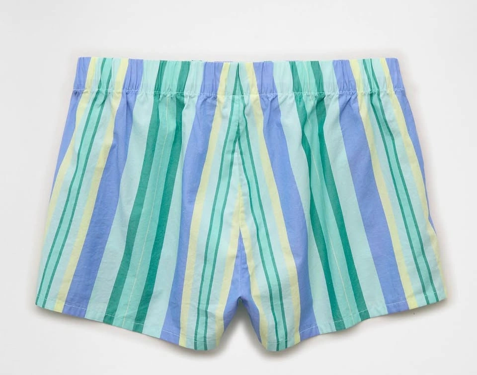 Boxer Shorts (American Eagle AE Lounge Striped Shorts) - photo 3