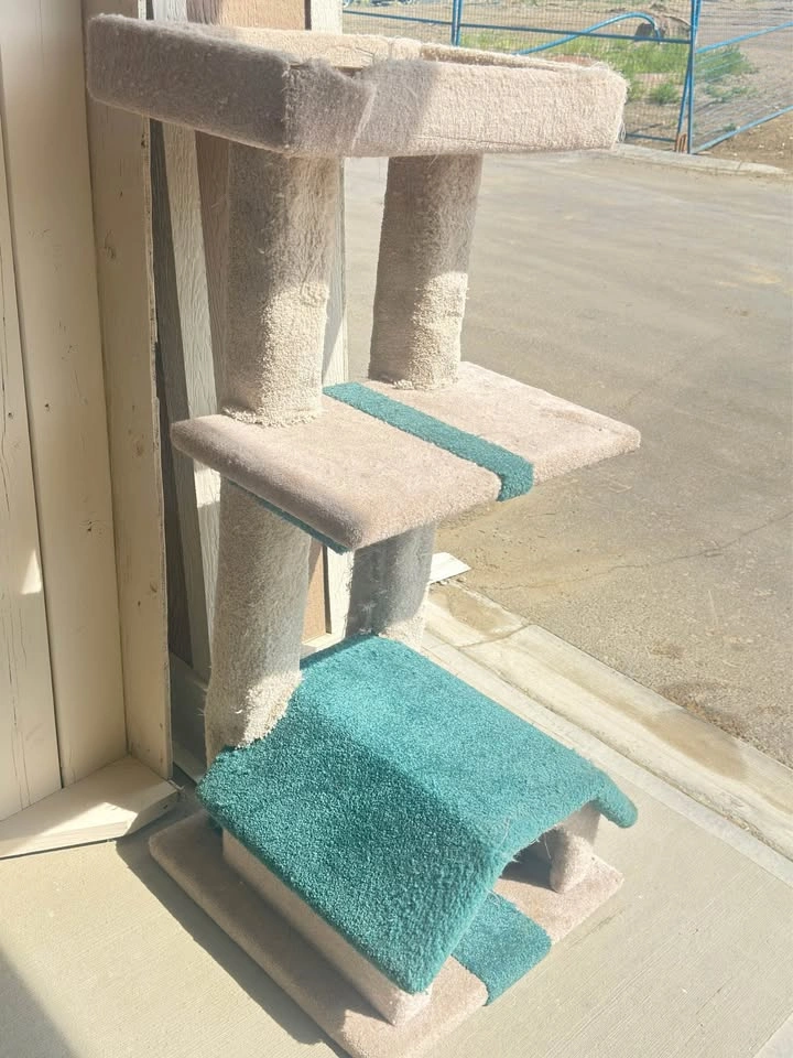 Large Carpeted Cat Tree / Cat Condo (Custom Made) - photo 3
