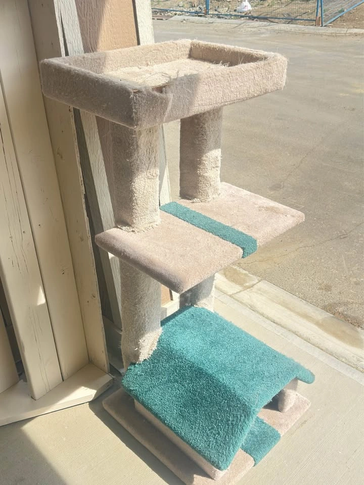 Large Carpeted Cat Tree / Cat Condo (Custom Made) - photo 4