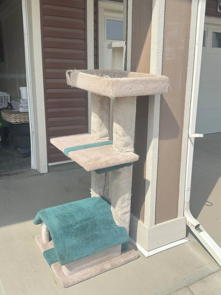 Large Carpeted Cat Tree / Cat Condo (Custom Made) - photo 5