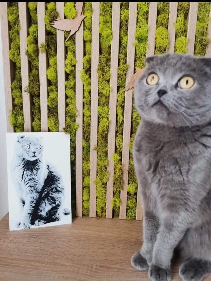 3D Custom printed pet Portraits - photo 4
