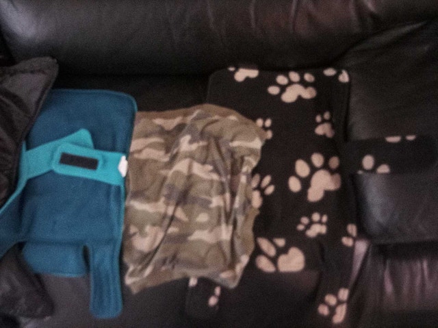 Assorted Small Dog Sweaters and Coats - photo 2