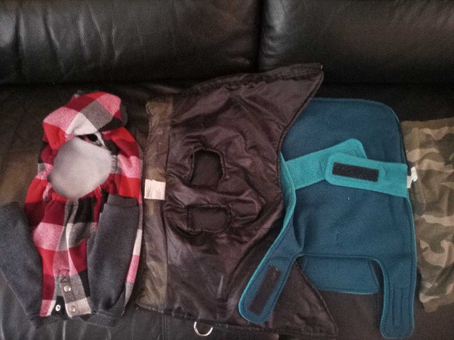 Assorted Small Dog Sweaters and Coats - photo 3