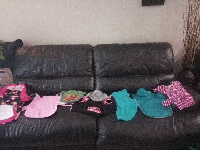 Dog Clothing Assortment