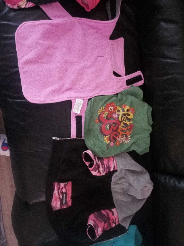 Dog Clothing Assortment - photo 3