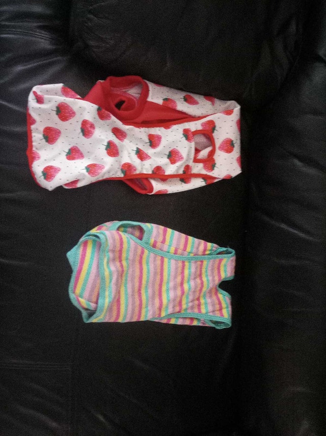 Dog Diapers Set