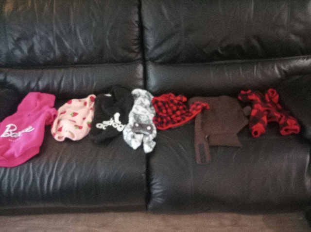 Dog Coats and Sweaters Bundle 7-10 inch