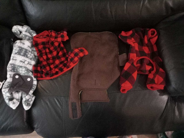 Dog Coats and Sweaters Bundle 7-10 inch - photo 2