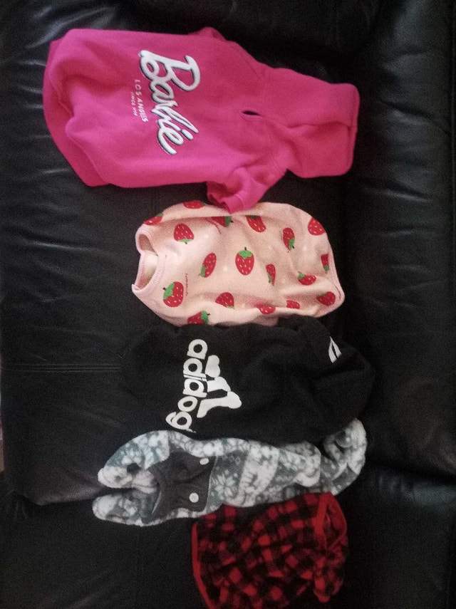 Dog Coats and Sweaters Bundle 7-10 inch - photo 3