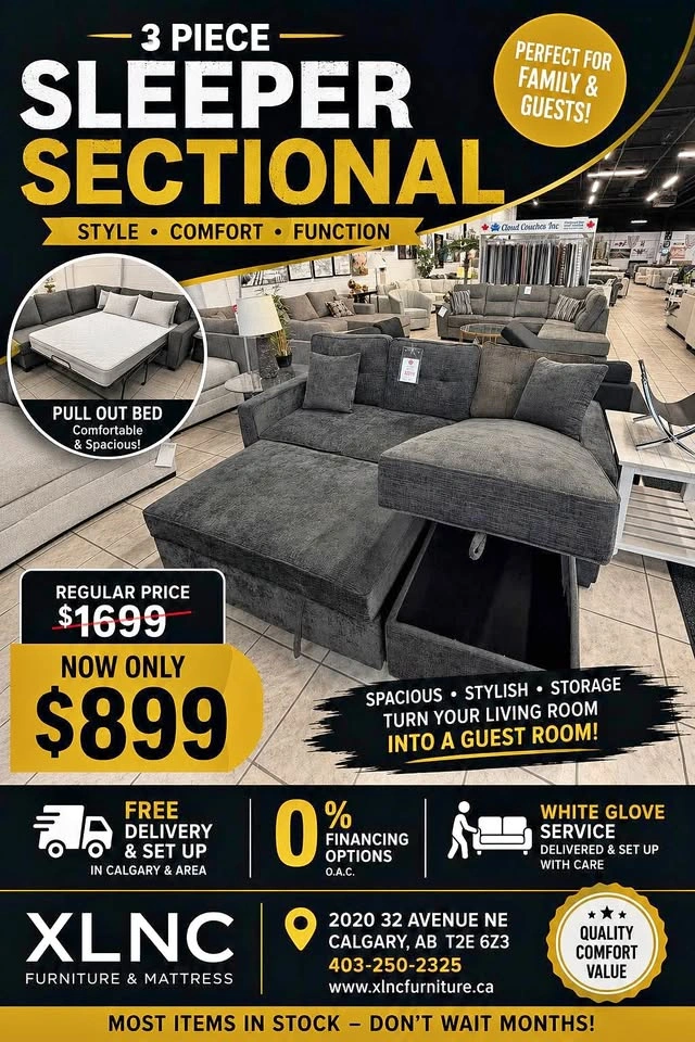 Sleeper Sectional with Storage | $899