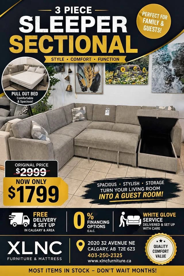 3 Piece Sleeper Sectional with Storage