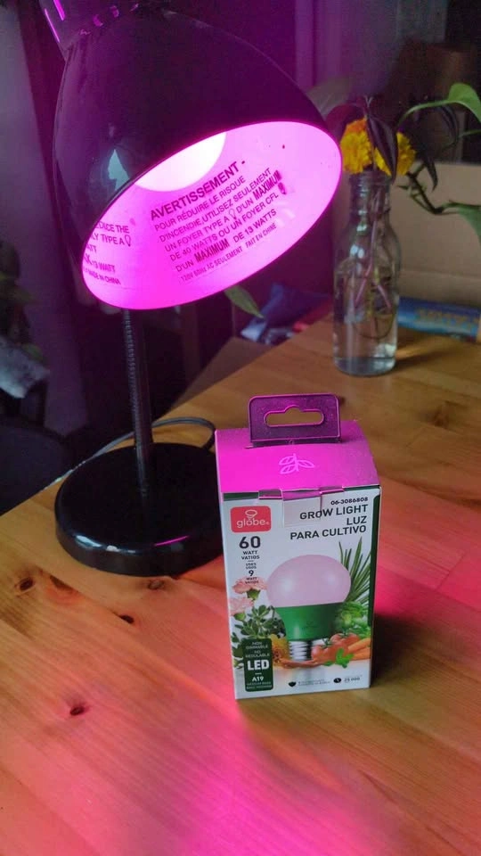 Desk lamp - photo 3