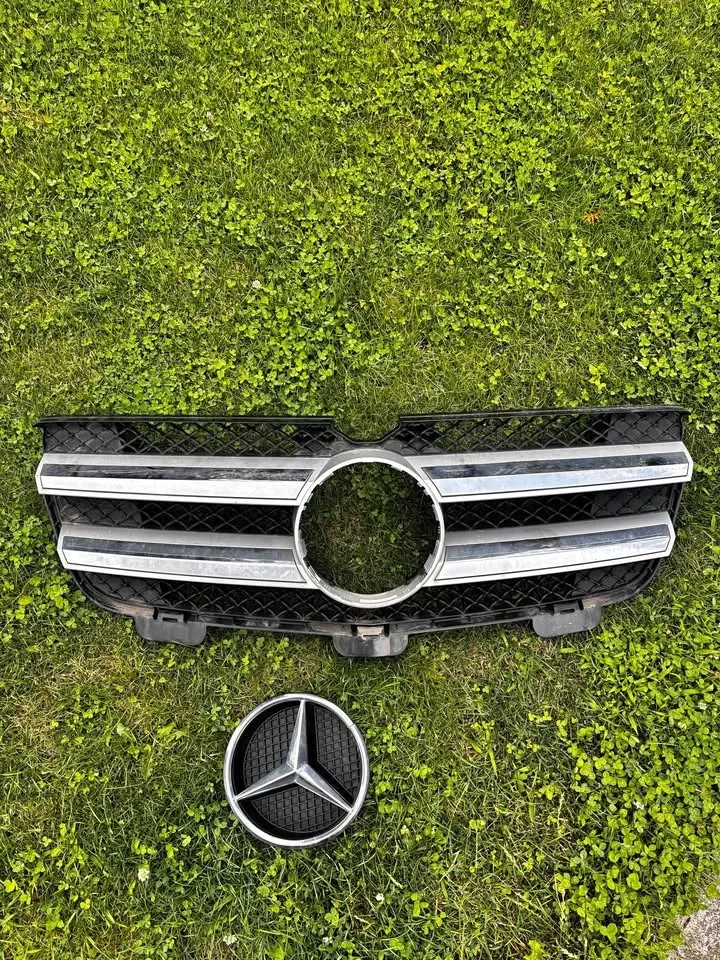 2009-2011 ML/GL 350 Grill
