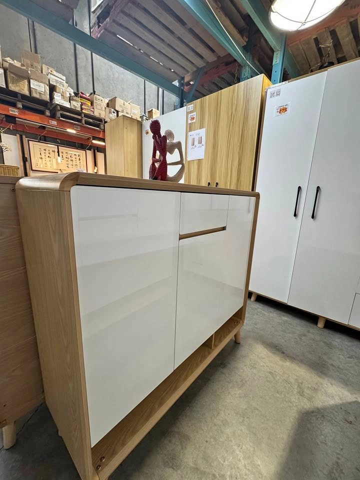 Scandinavian Style Shoe Cabinet with Wooden Doors