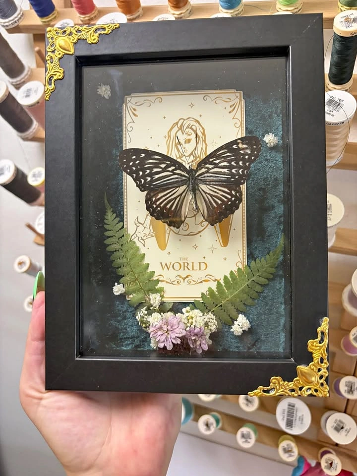 Butterfly Frame with Tarot card and Dried flowers