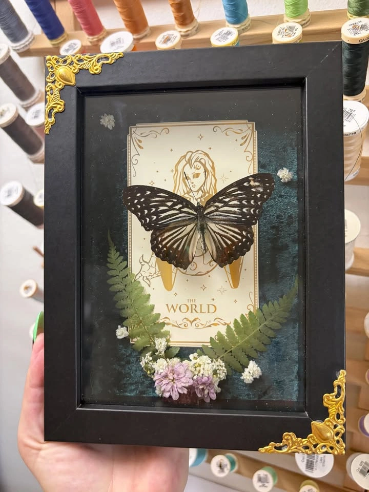 Butterfly Frame with Tarot card and Dried flowers - photo 2