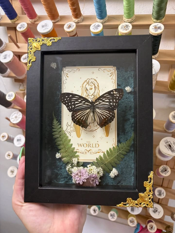Butterfly Frame with Tarot card and Dried flowers - photo 3