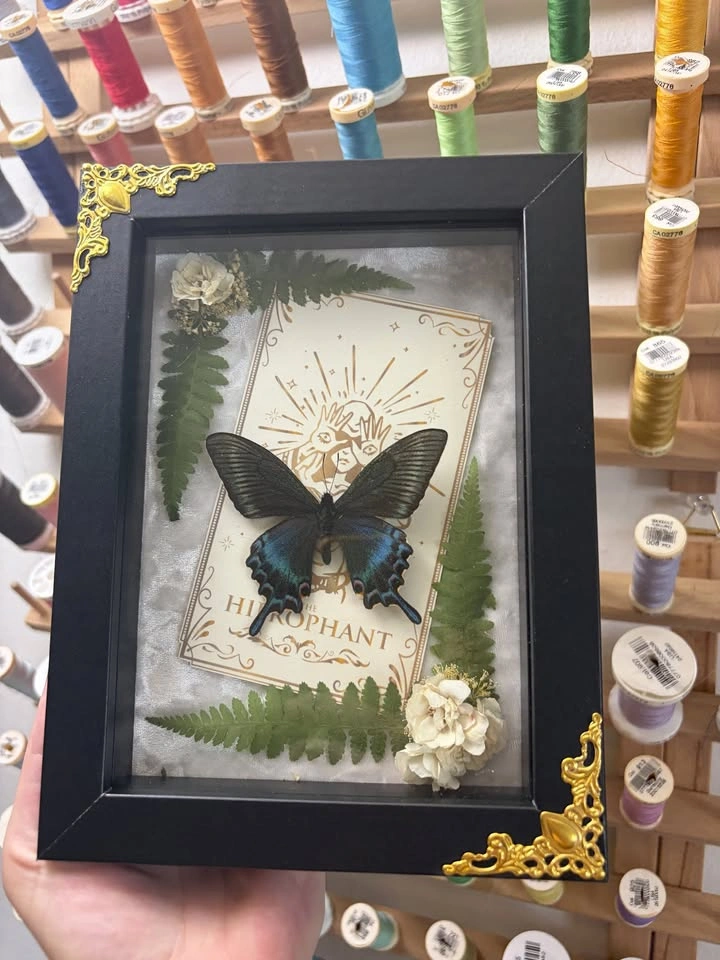 Alpine Black Swallowtail Butterfly Frame with Tarot Card - photo 3