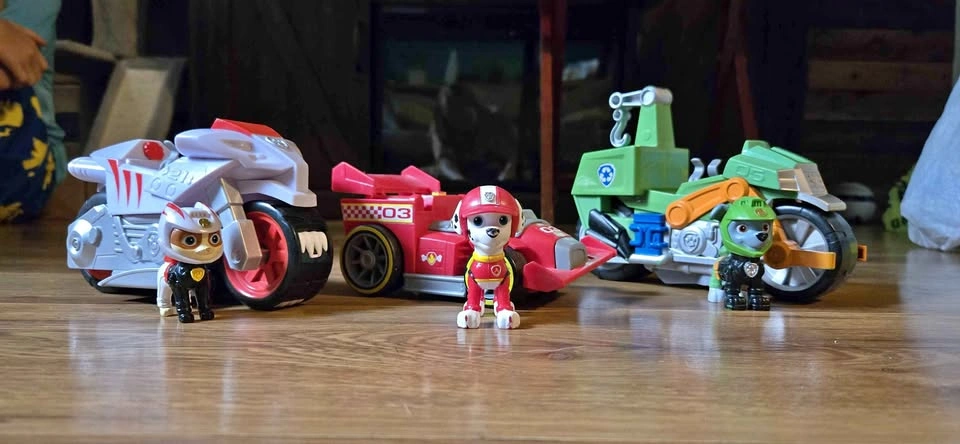 Paw Patrol Racing Pups