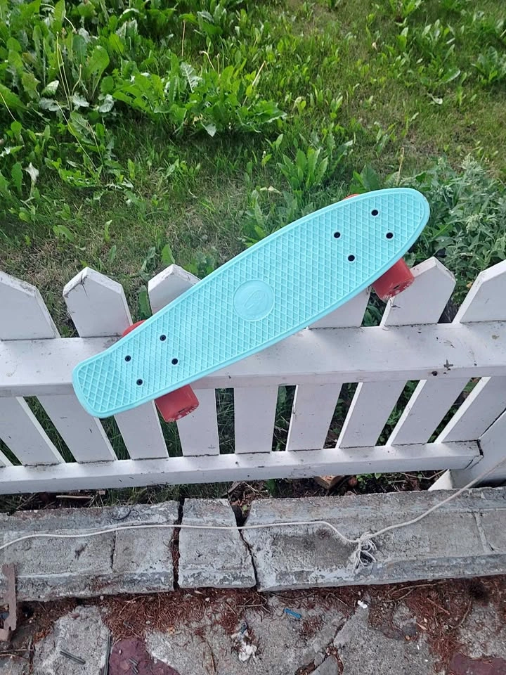 Fish Skateboards Cruiser Skateboard Penny Board