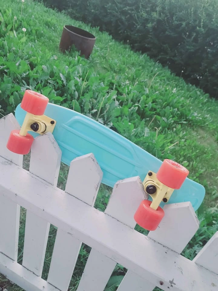 Fish Skateboards Cruiser Skateboard Penny Board - photo 2