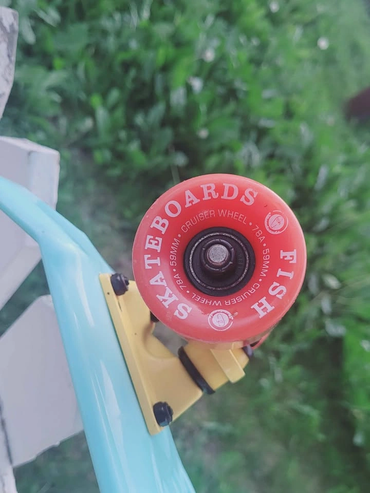 Fish Skateboards Cruiser Skateboard Penny Board - photo 3