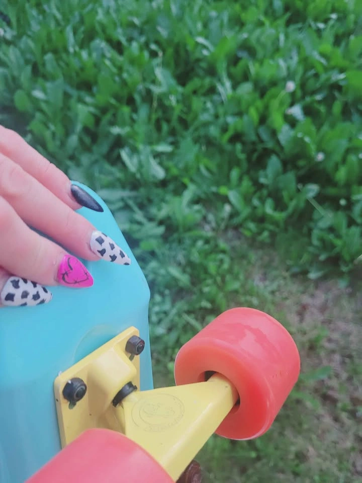 Fish Skateboards Cruiser Skateboard Penny Board - photo 4