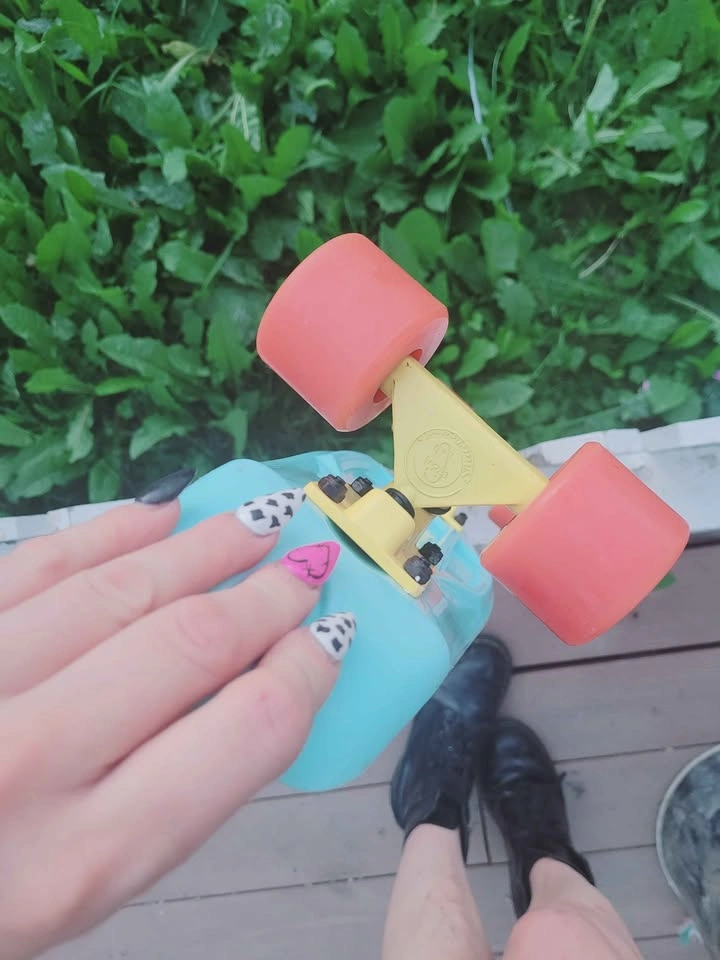 Fish Skateboards Cruiser Skateboard Penny Board - photo 5