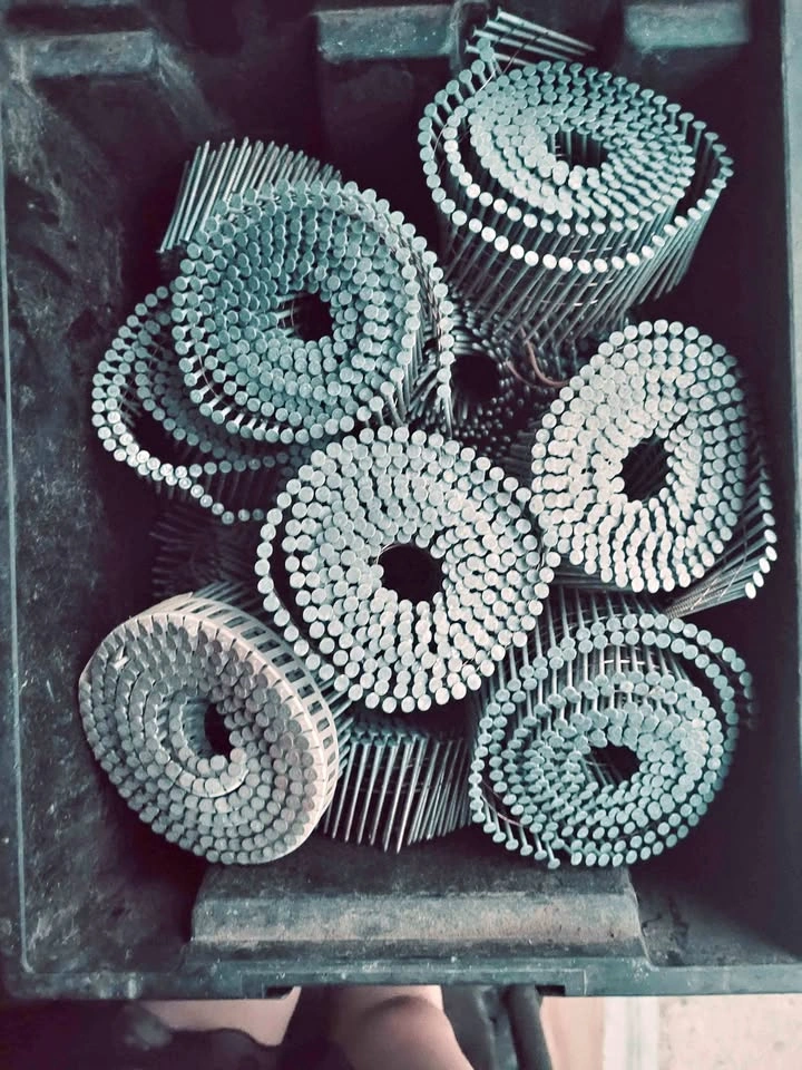 Wire Collated Coil Nail, Nailer Nails